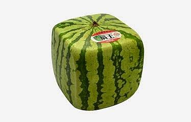 Sandia cuadrada 